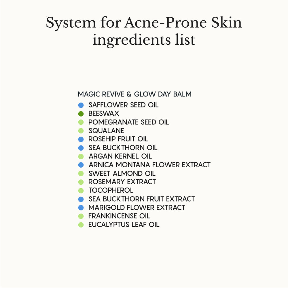 The Complete System for Acne-Prone Skin