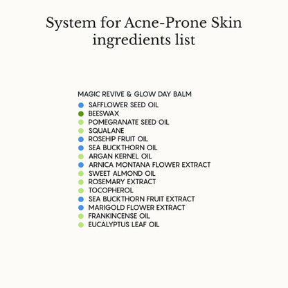 The Complete System for Acne-Prone Skin